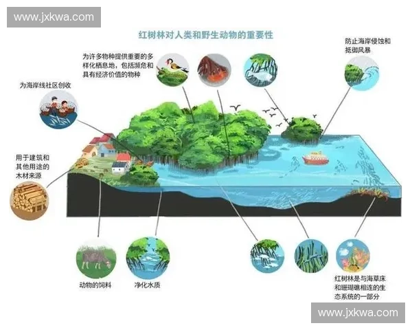 以沉底平衡理论为核心探讨水域生态系统稳定性与可持续发展路径